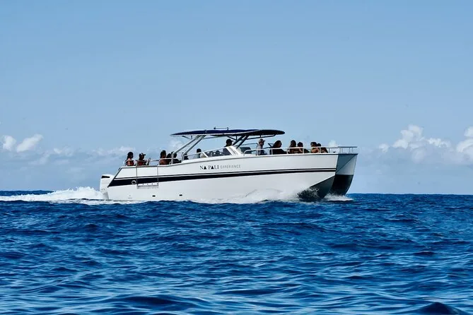 A power catamaran cruising in open blue water